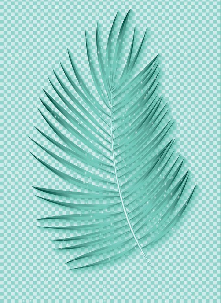 Beautiful Palm Leaf on transparent Background. Vector Illustration
