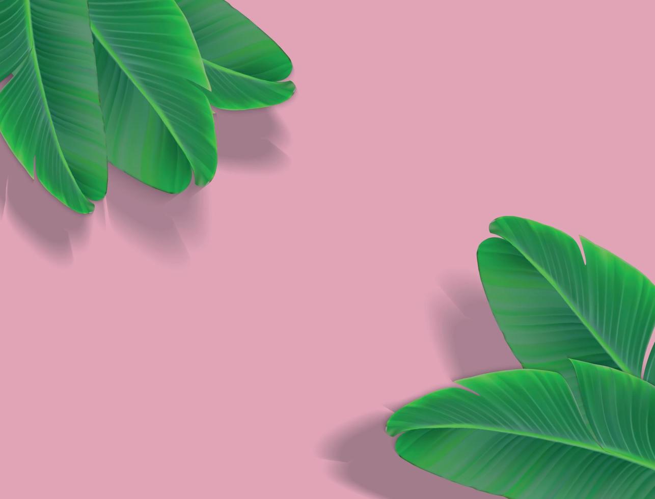 Beautiful Palm Leaf Background. Vector Illustration
