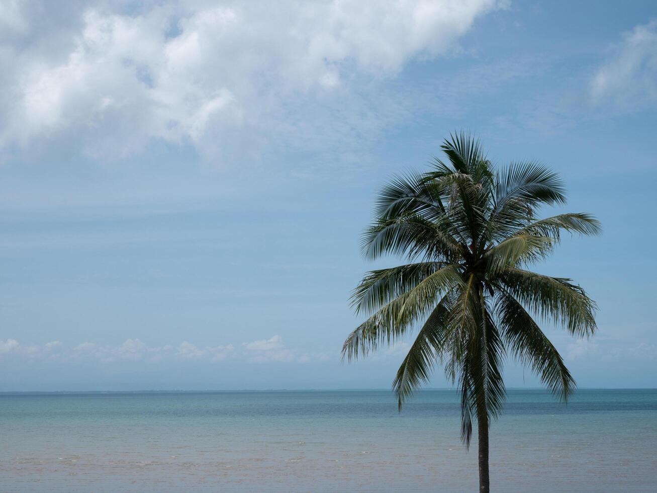 Summer beach in Thailand, blue ocean, sand, and sunshine photo