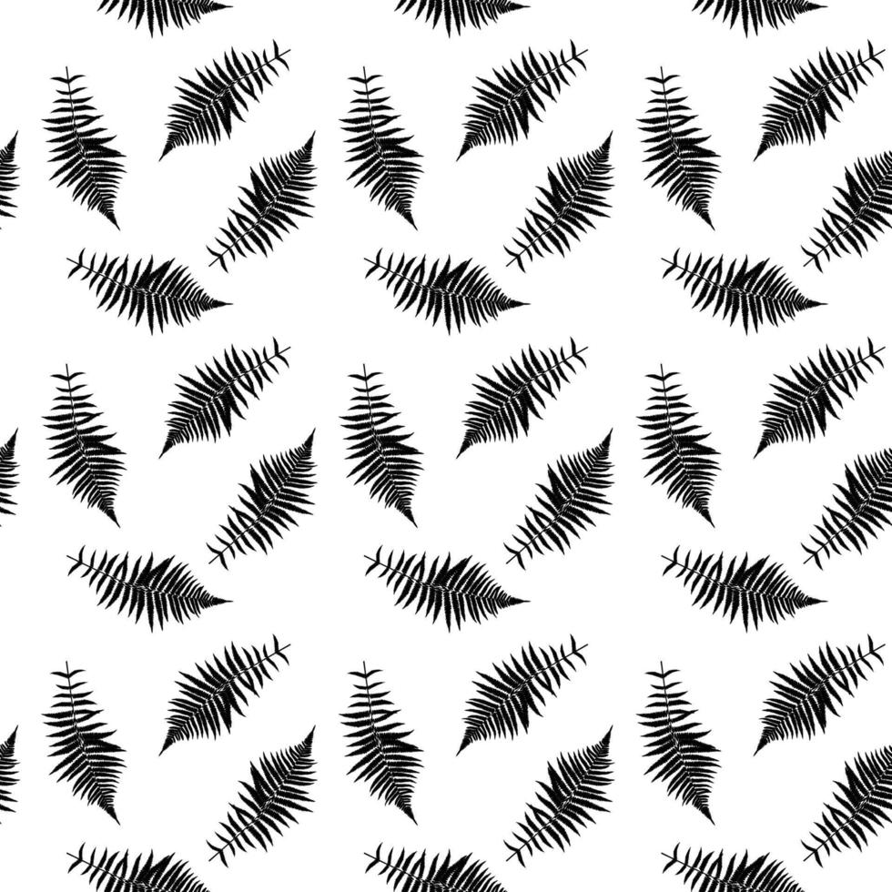 Black and White silhouette of leaf Libistones of Chinese, Southern palm. Seamless pattern. Vector Illustration.