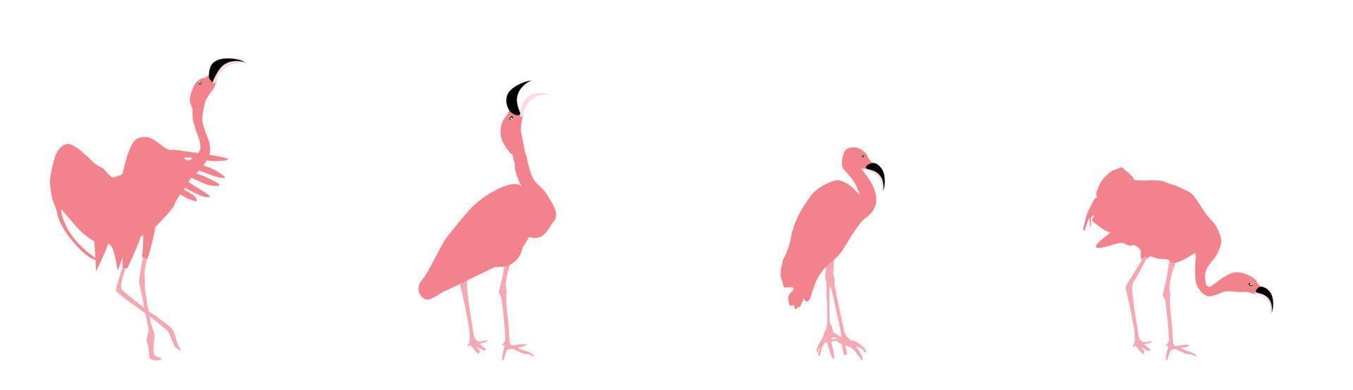 Set of beautiful colored vector illustrations of flamingos in different poses