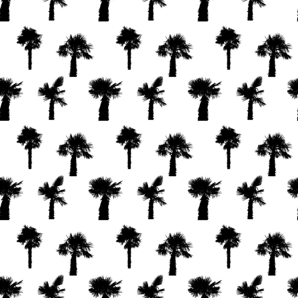 Palm Tree Seamless Pattern Vector Illustration.