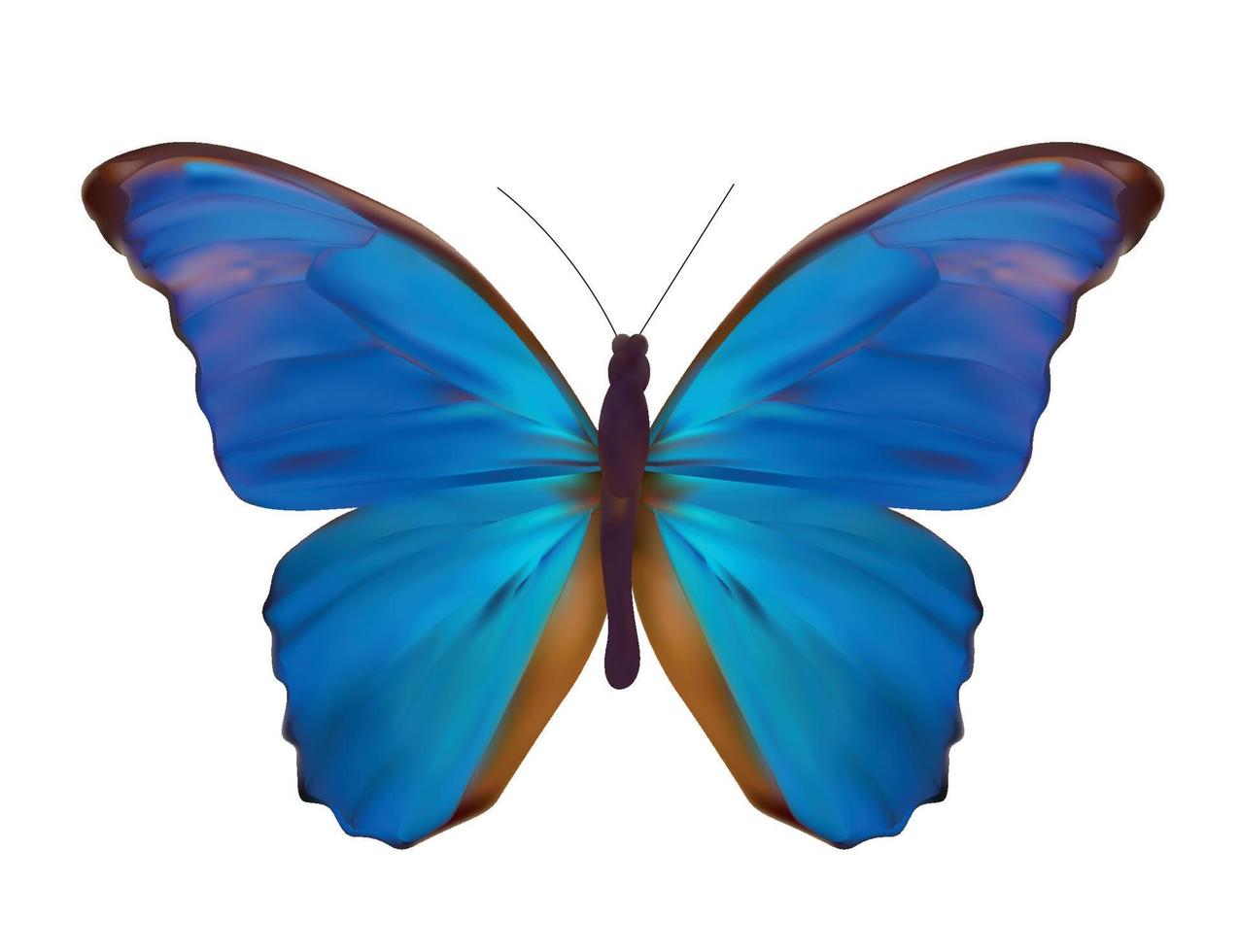 Blue Butterfly Isolated on White Realistic Vector Illustration