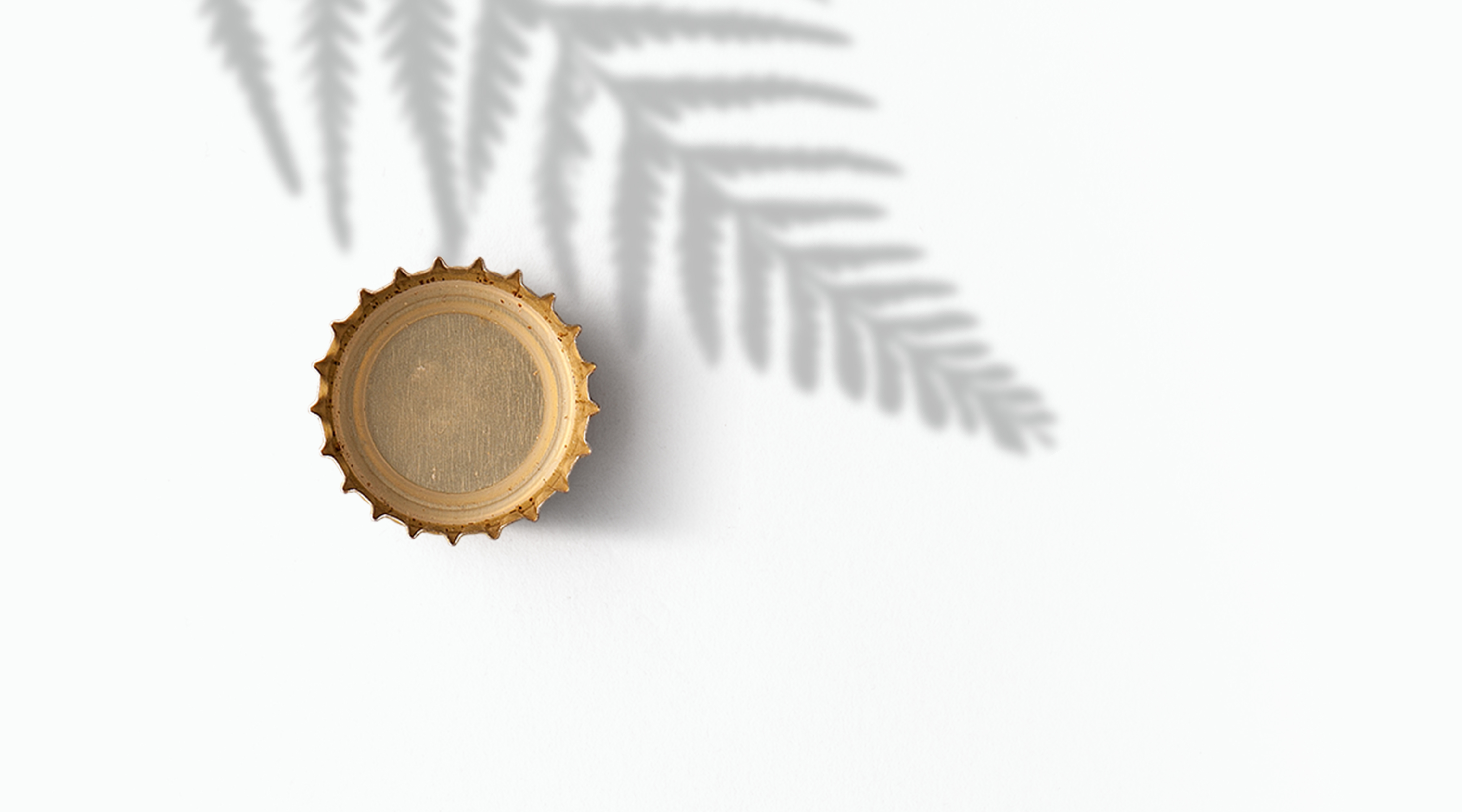 Pitcher Of Beer Stock Photos, Images and Backgrounds for Free Download