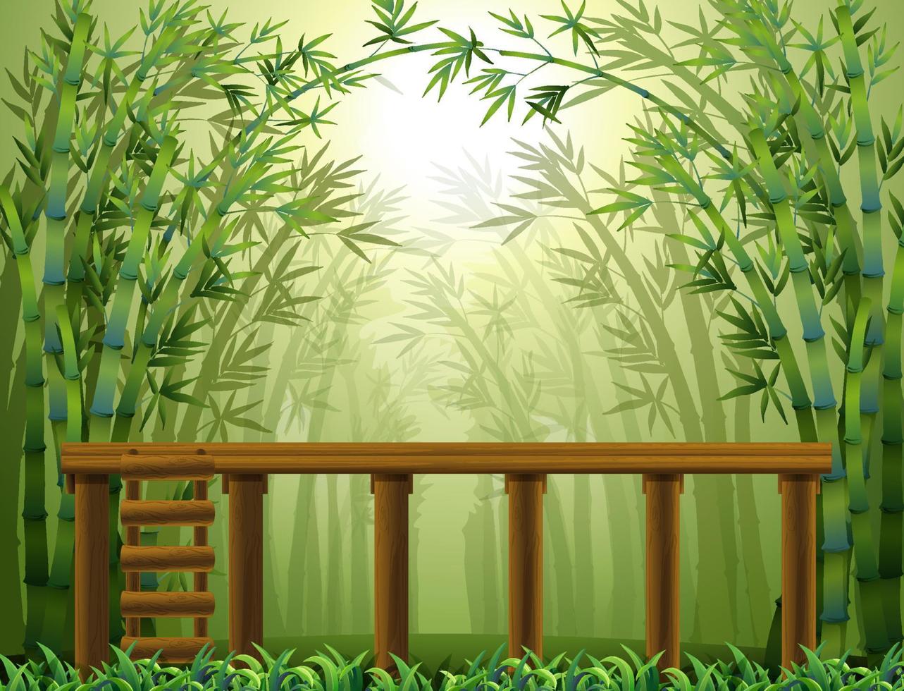 Empty bamboo forest background vector