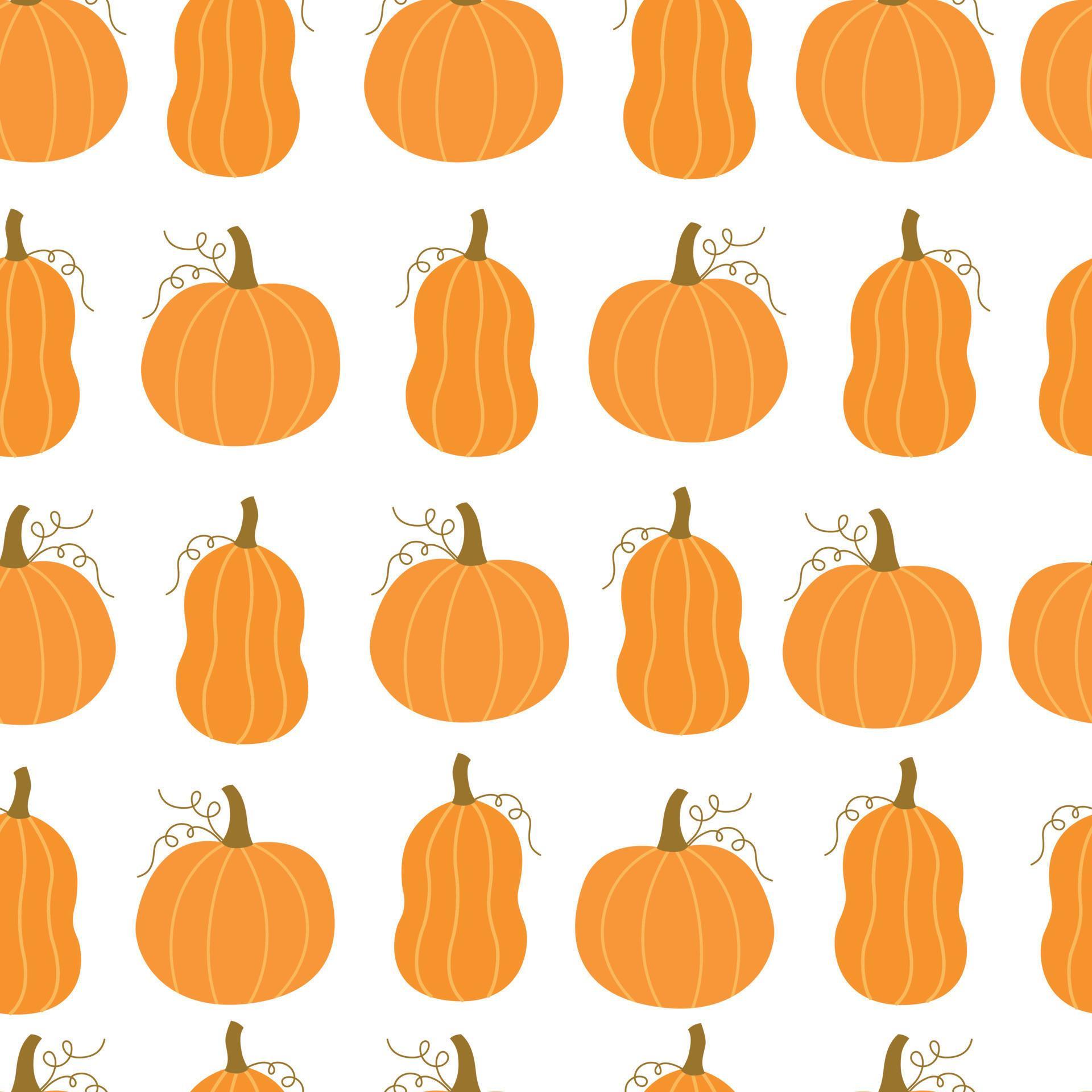 Vector pattern Orange Pumpkin Seamless Background Hand drawn design ...