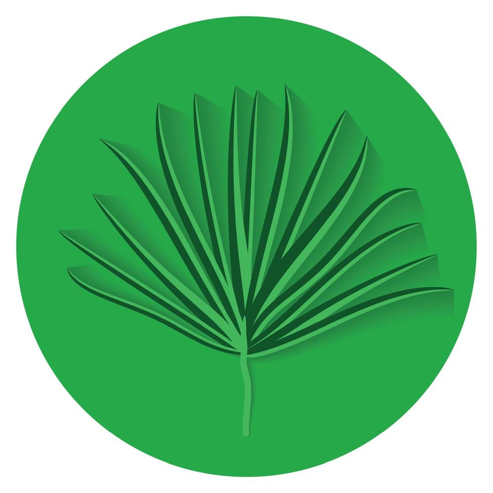 Green Palm Leaf on White Background. Vector Illustration.