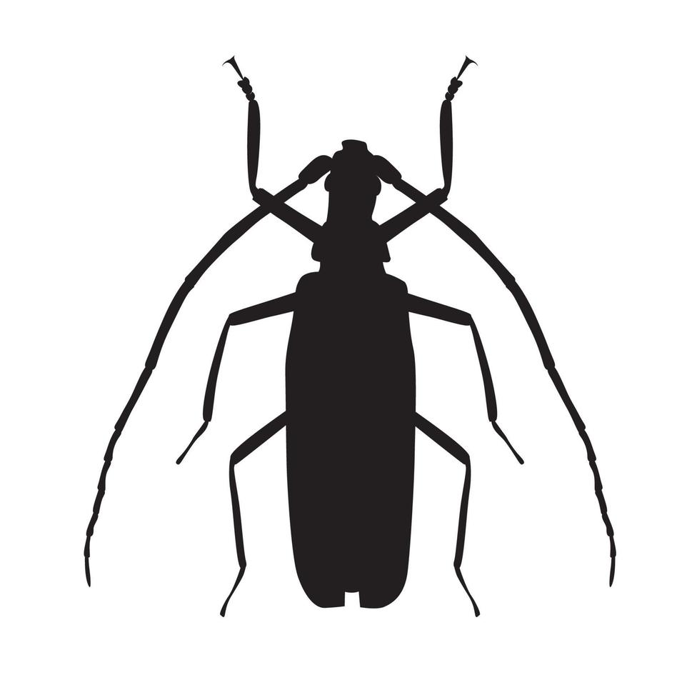 Ilustración de vector de silueta de escarabajo grande