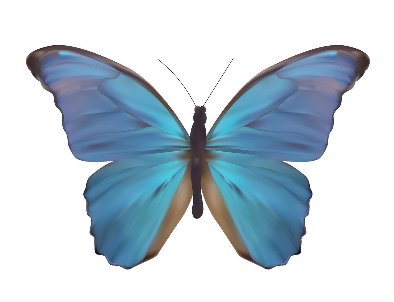 Blue Butterfly Isolated on White Realistic Vector Illustration