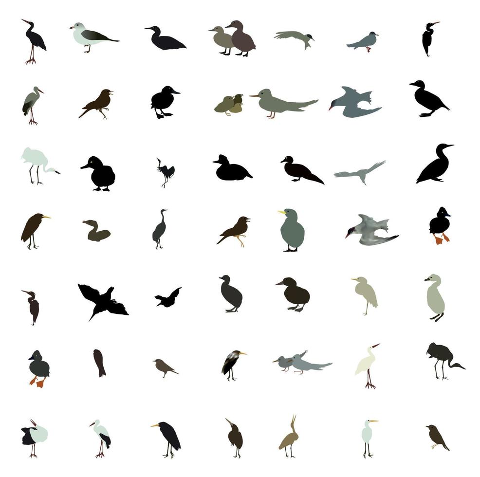 Set of black and white silhouettes of birds dove, duck, gull, peacock and hummingbird. Vector illustration.