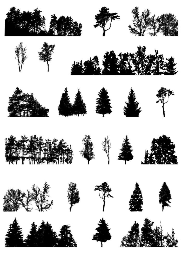 Set of Tree Silhouette Isolated on White Backgorund. Vecrtor Illustration. vector