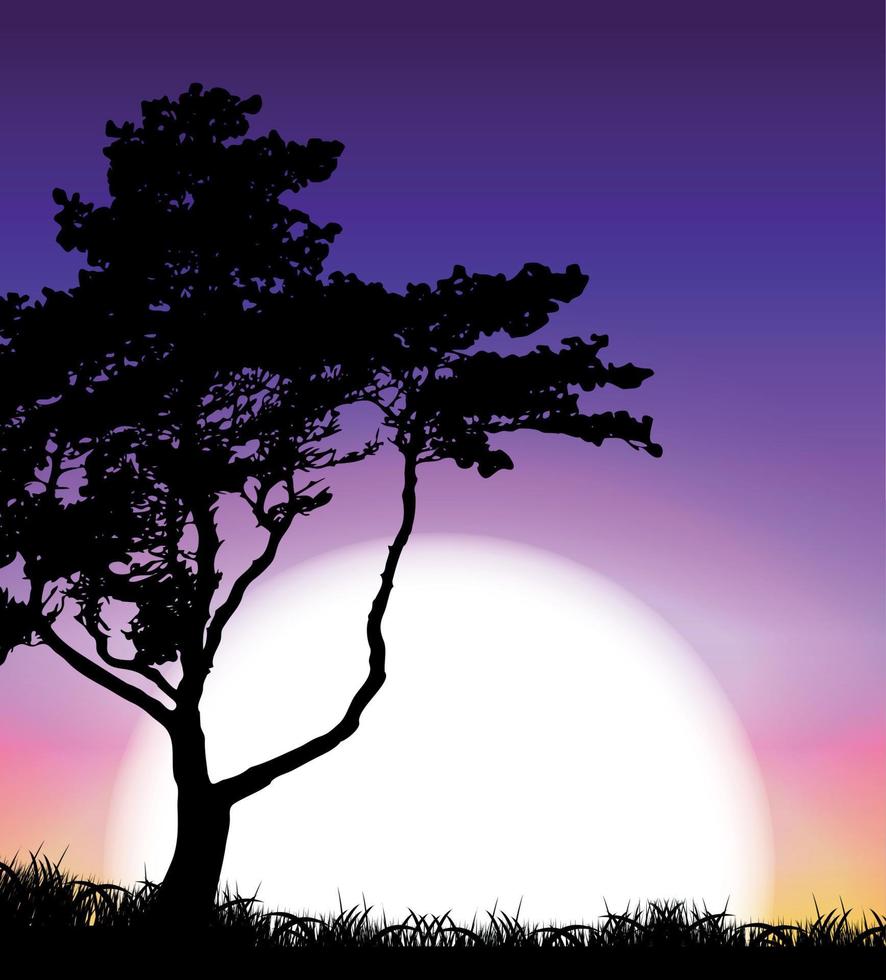 Silhouette of Tree on Sunset Background. Vector Illustration