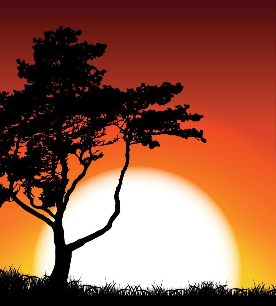 Silhouette of Tree on Sunset Background. Vector Illustration