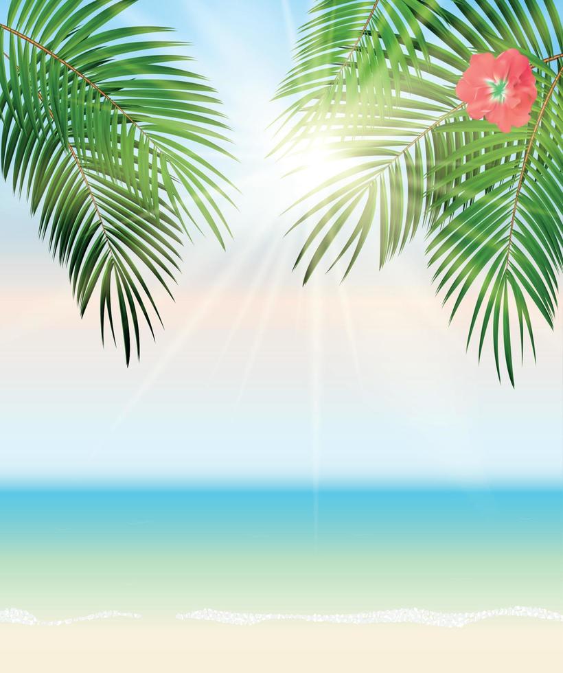 Ilustración de fondo de vector de playa de hoja de palma de horario de verano