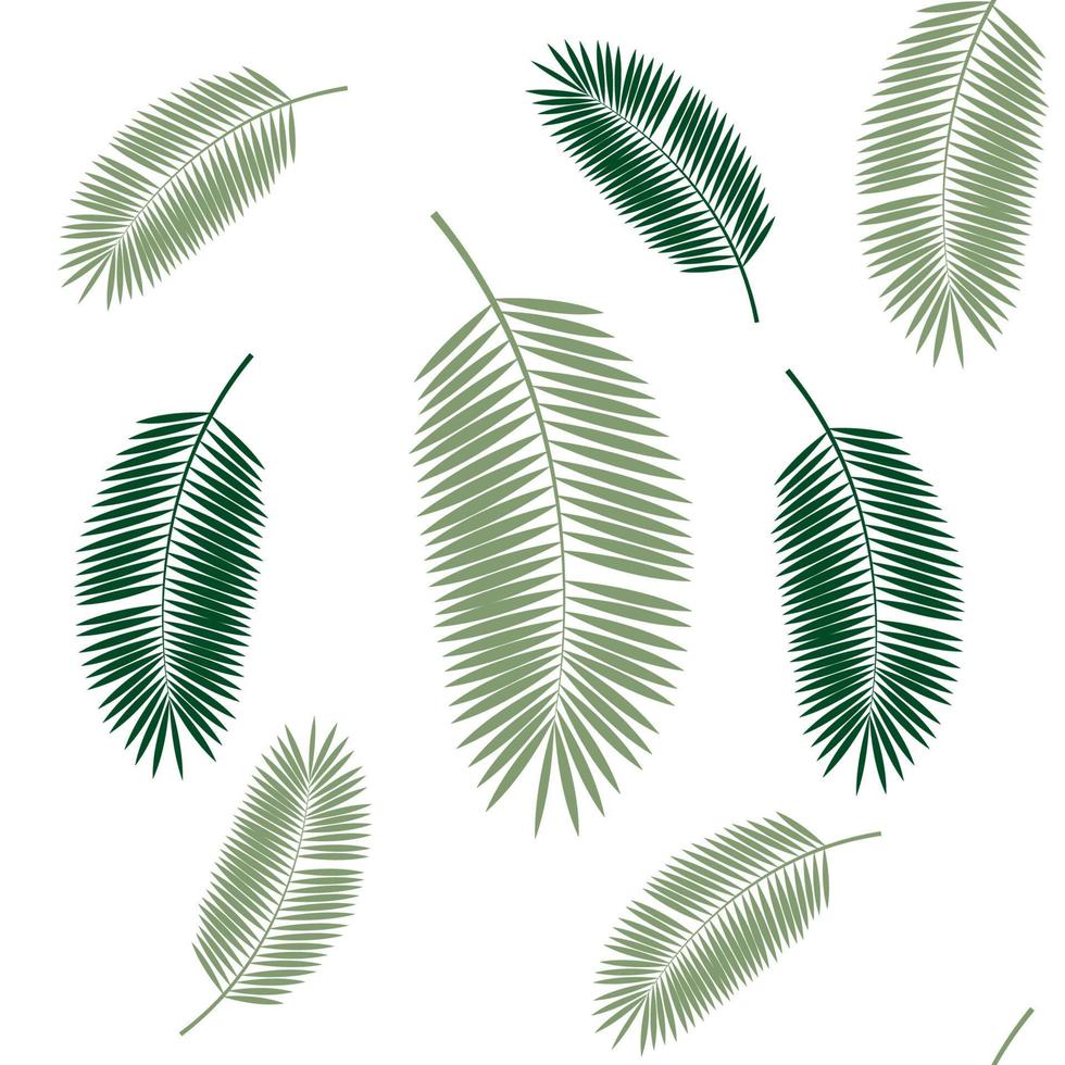 Palm Leaf Seamless Pattern Background. Vector Illustration.