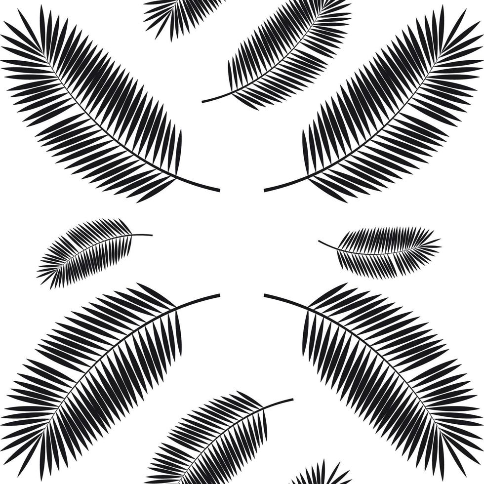Fondo transparente de hoja de palma. ilustración vectorial. vector