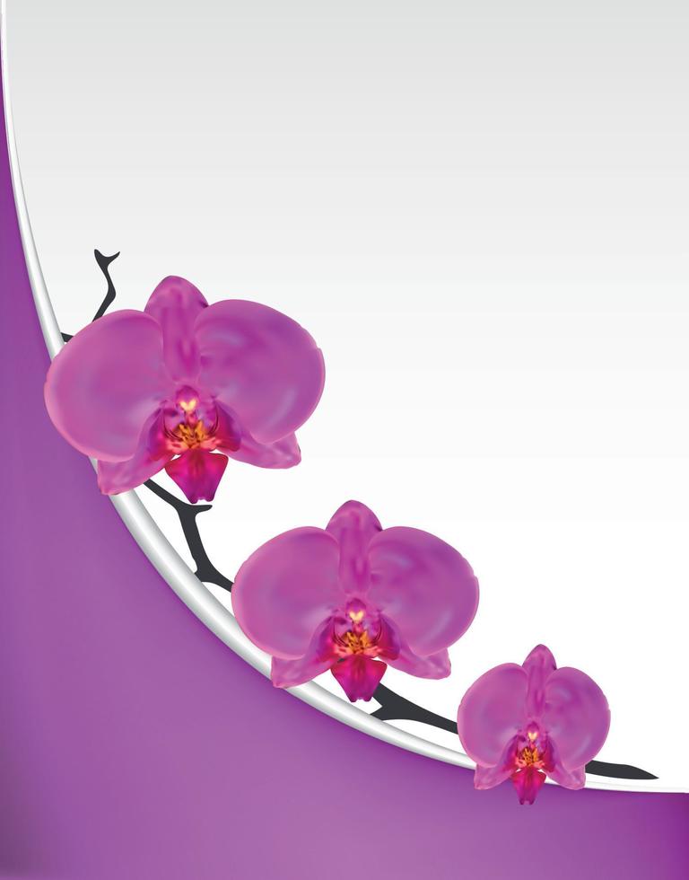 Branch flowers of the Orchid Pink. Vector Illustration.