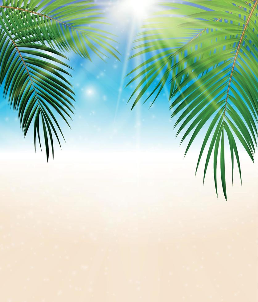 Palm Leaf Vector Background Illustration