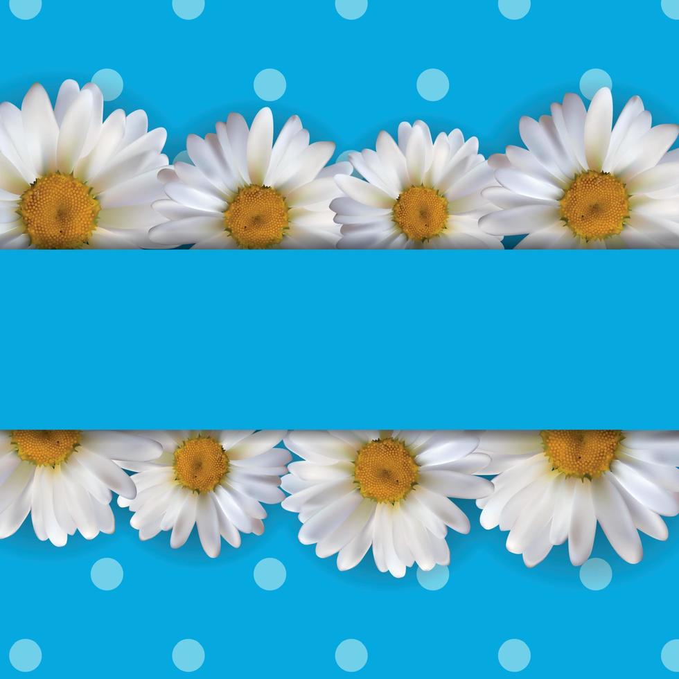 Abstract Chamomile Flowers Natural Spring and Summer Background 3D Realistic Vector Iillustration