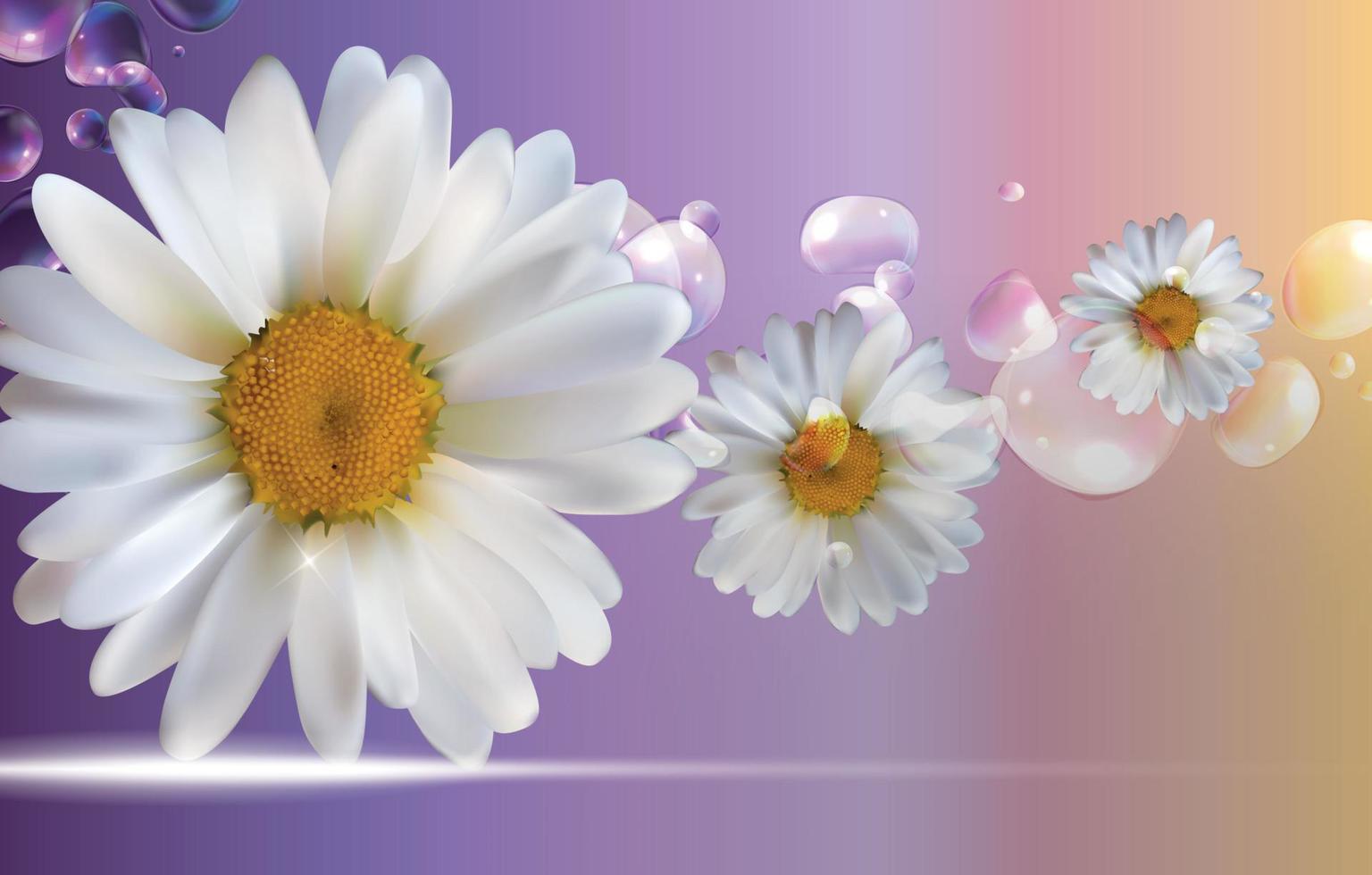 Abstract Chamomile Flowers Natural Spring and Summer Background 3D Realistic Vector Iillustration