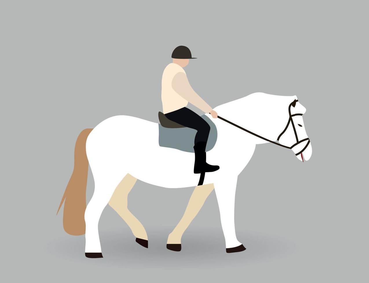 Rider on White horse. Vector Illustration.