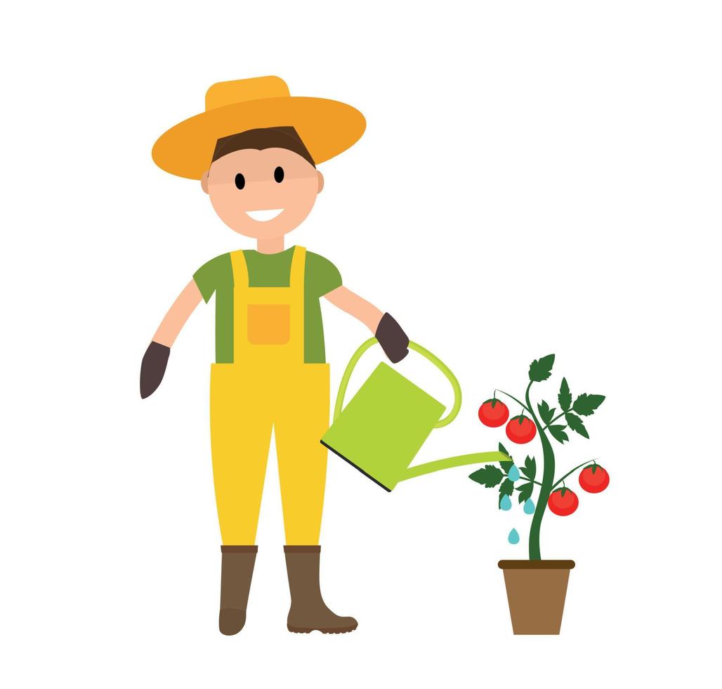 hombre jardinero agricultor con regadera y planta de tomate en la ilustración de vector de estilo plano moderno