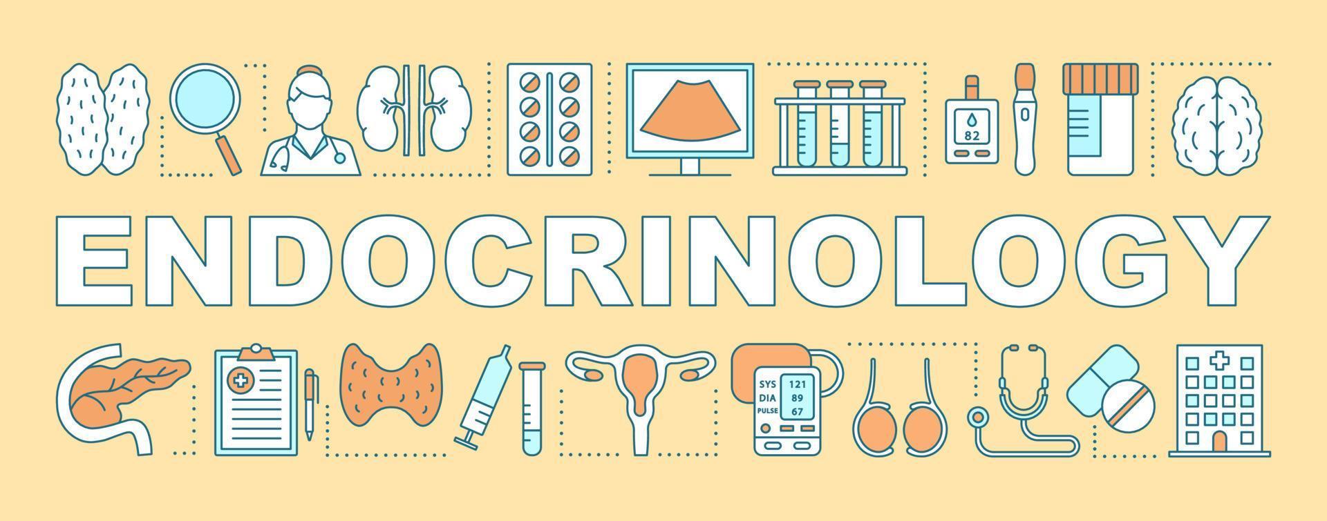 Endocrinology word concepts banner. Endocrine glands disease. Diabetes, hormones regulation. Presentation, website. Isolated lettering typography idea with linear icons. Vector outline illustration