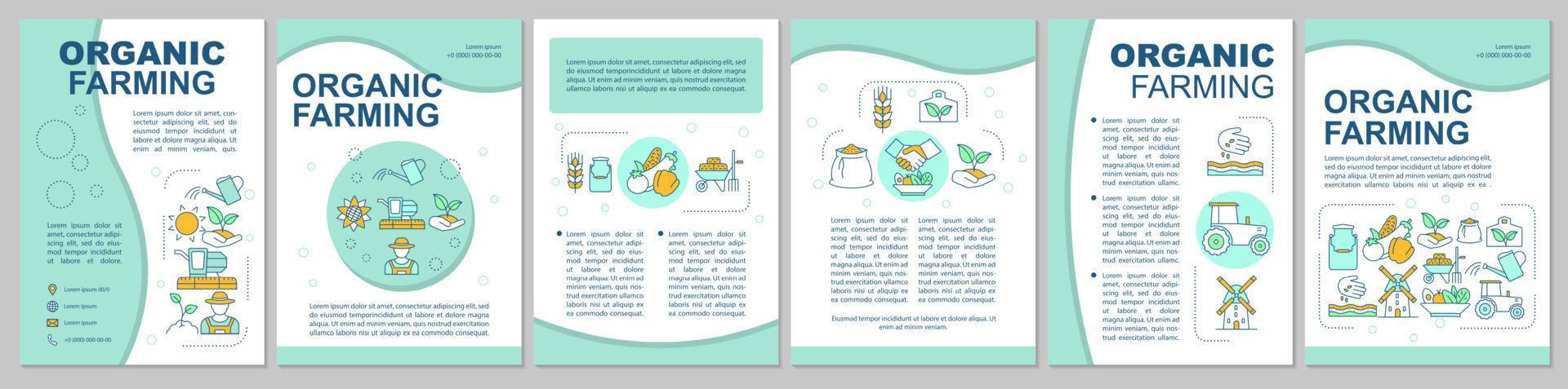 Diseño de plantilla de folleto de agricultura ecológica. agricultura ecológica. folleto, folleto, diseño de impresión de folletos con iconos. productos ecológicos. diseños de páginas vectoriales para revistas, informes anuales, carteles publicitarios vector