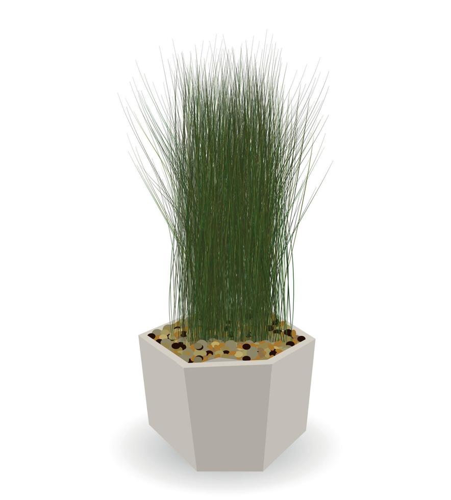 Home Green Plant in Nice Pot. Vector Illustration.