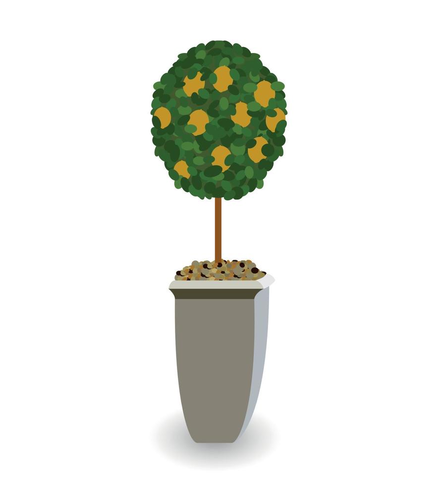 Home Green Plant in Nice Pot. Vector Illustration.