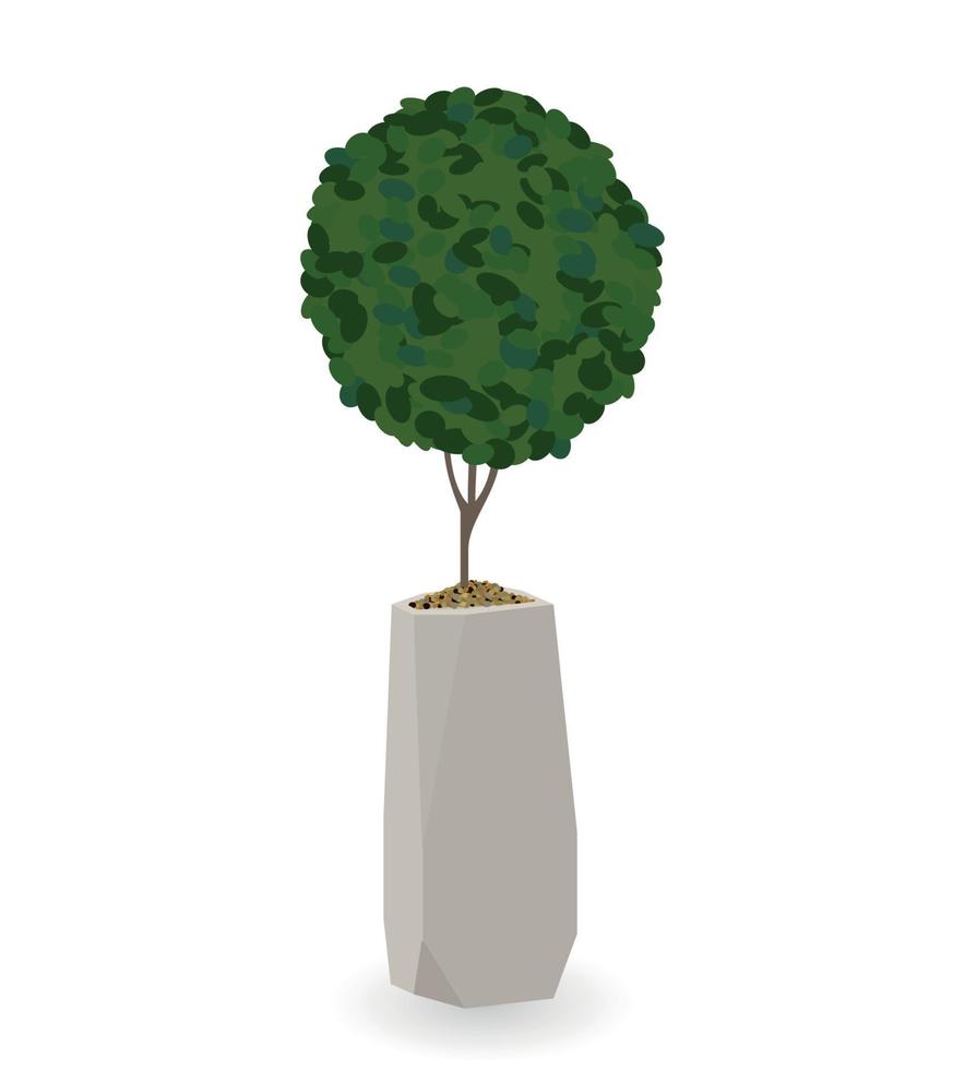 Home Green Plant in Nice Pot. Vector Illustration.