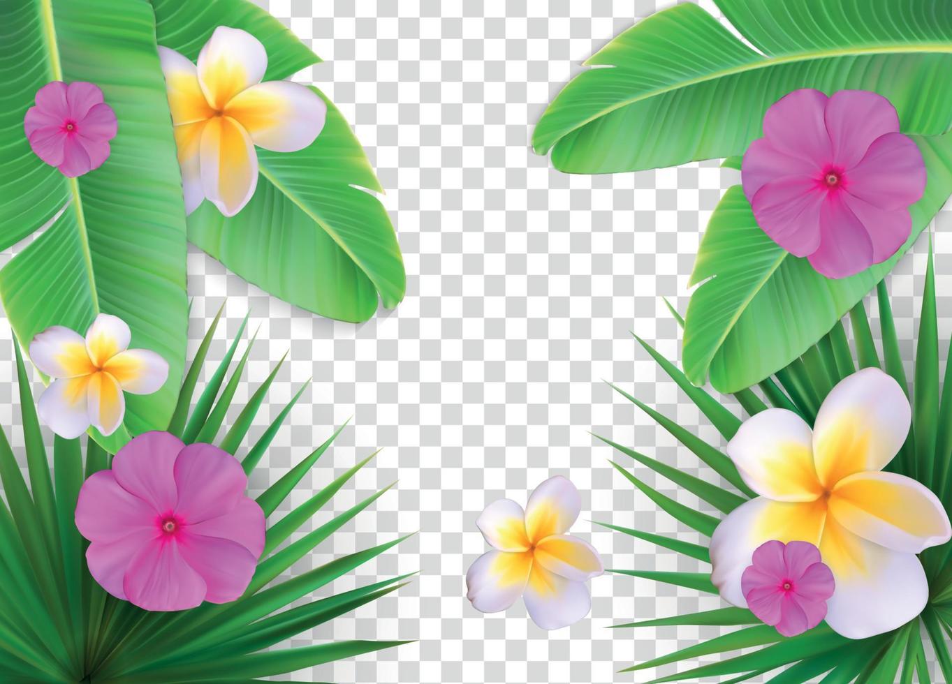 Summer Natural Floral Frame on Transparent Background Vector Illustration