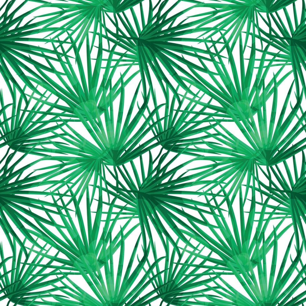 Palm Leaf Vector Seamless Pattern Background Illustration
