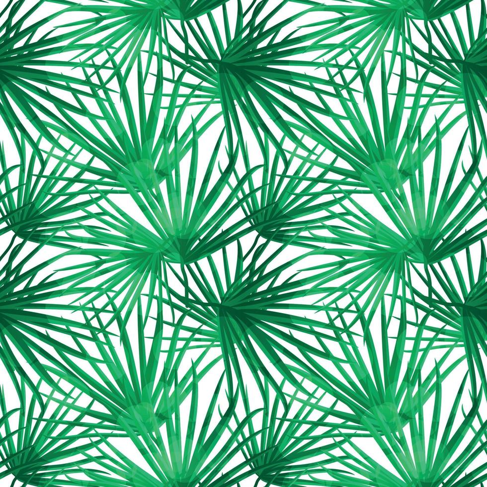 Palm Leaf Vector Seamless Pattern Background Illustration