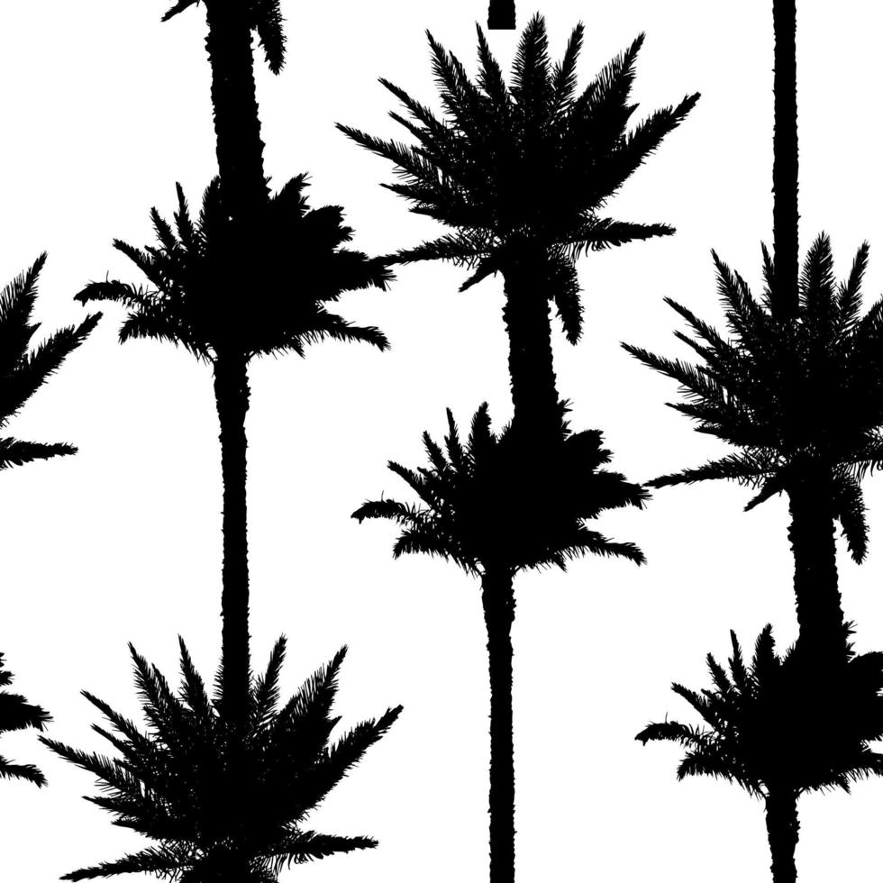 Palm Leaf Vector Seamless Pattern Background Illustration