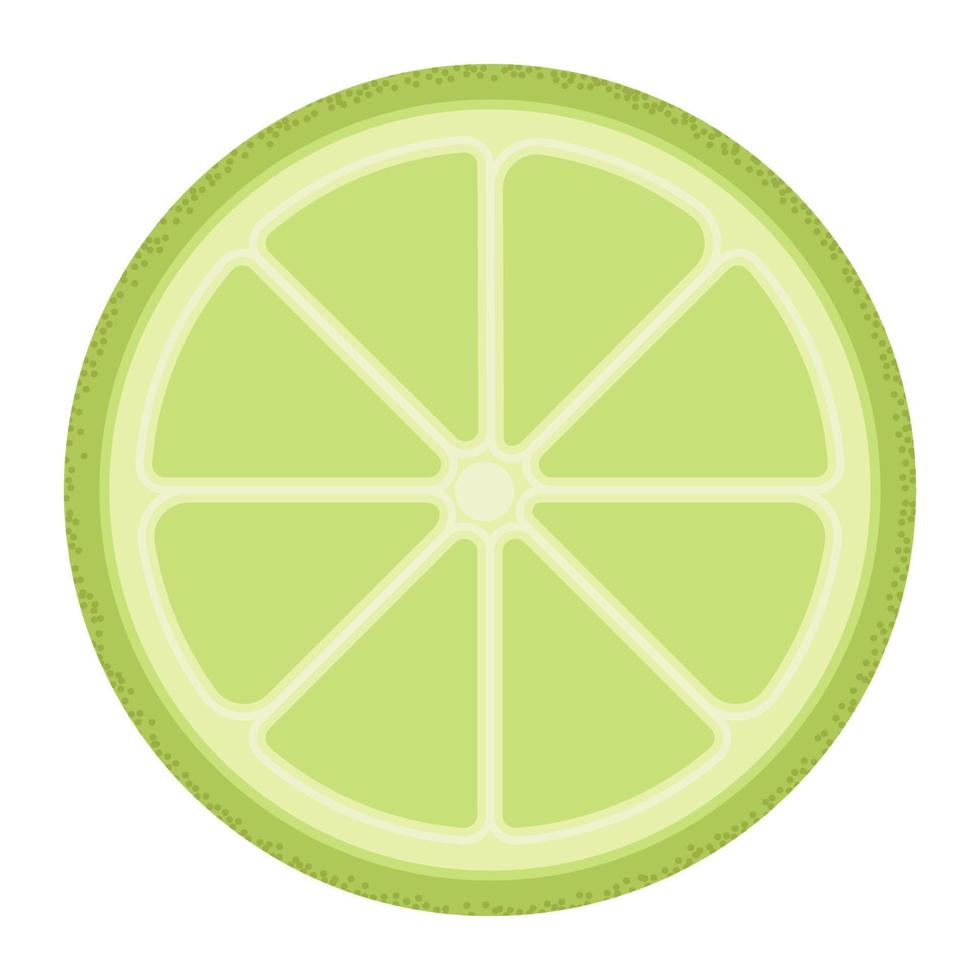sliced green lemon vector
