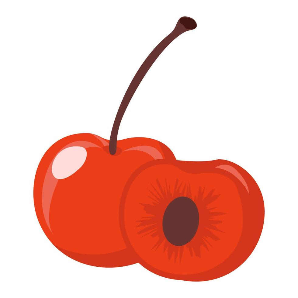 fruit cherry cartoon vector