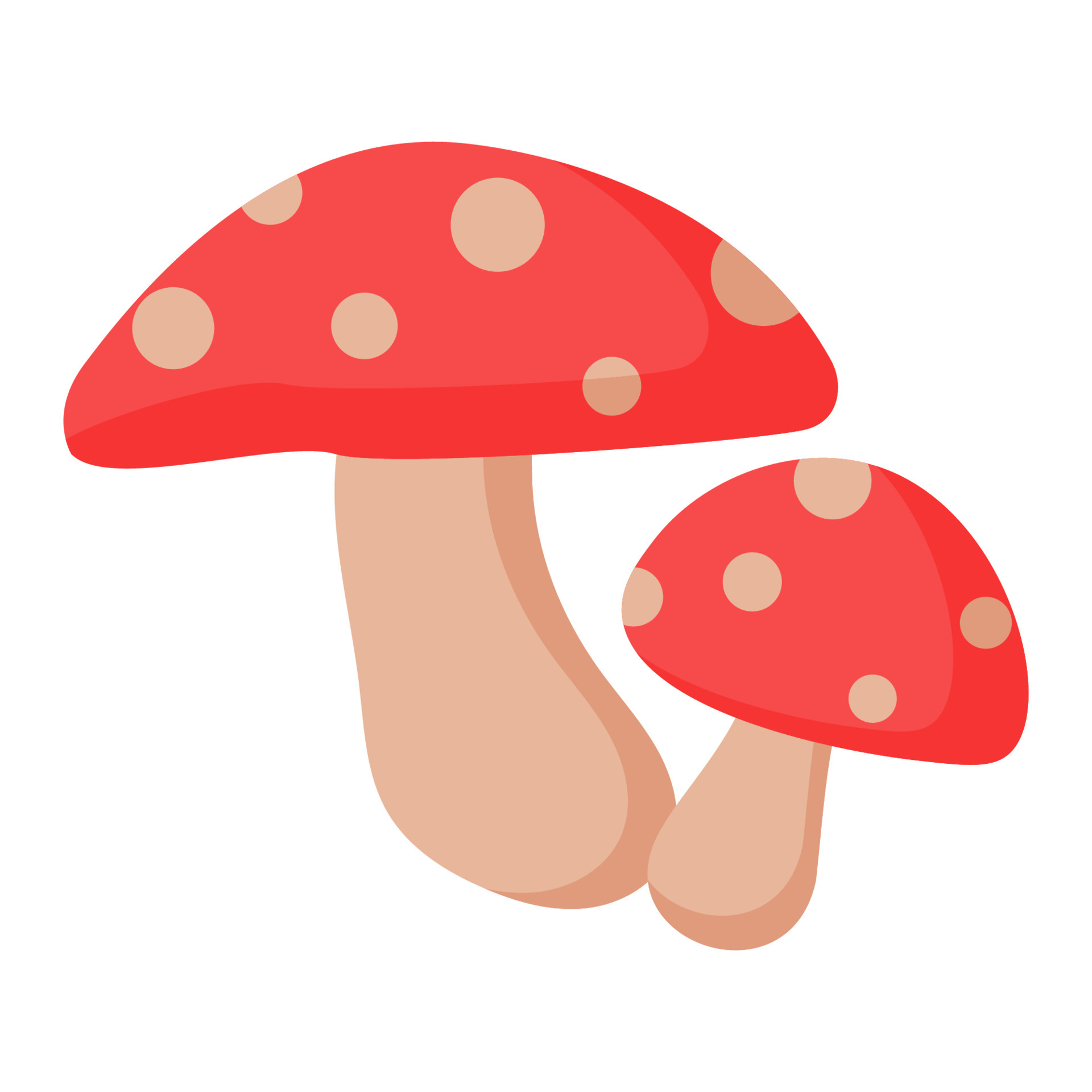 food mushroom cartoon vector object 4557370 Vector Art at Vecteezy food mushroom cartoon vector object 4557370 Vector Art at Vecteezy