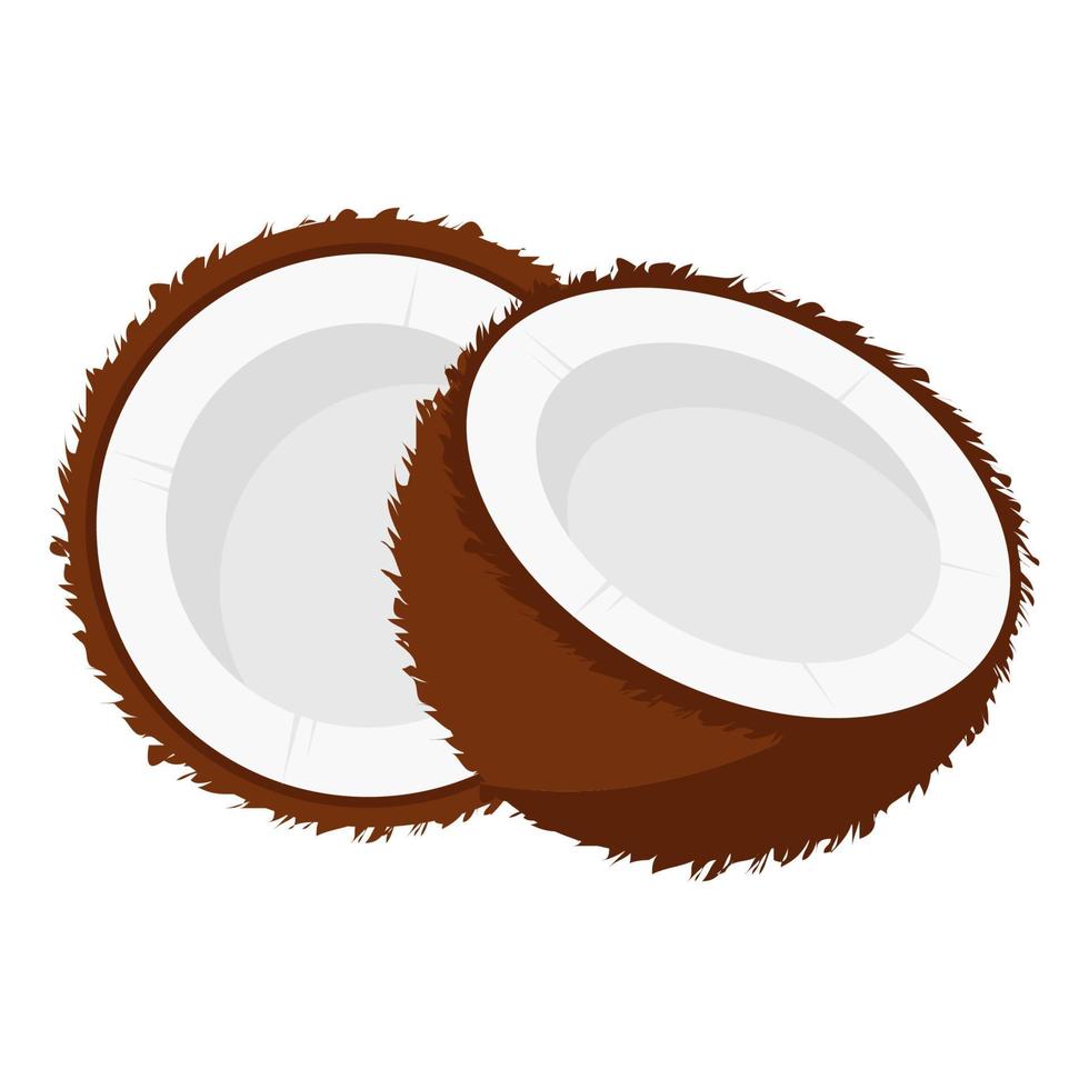 tropical fruit coconut vector