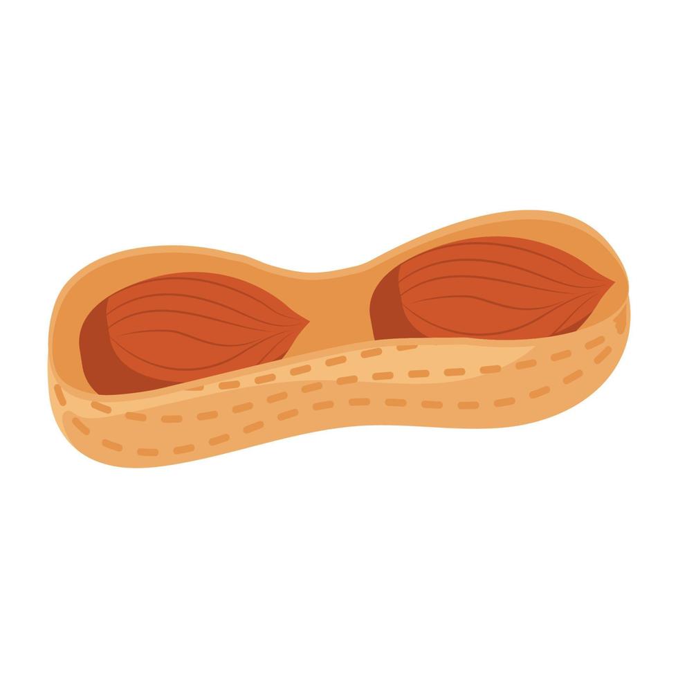 peanut cartoon vector object