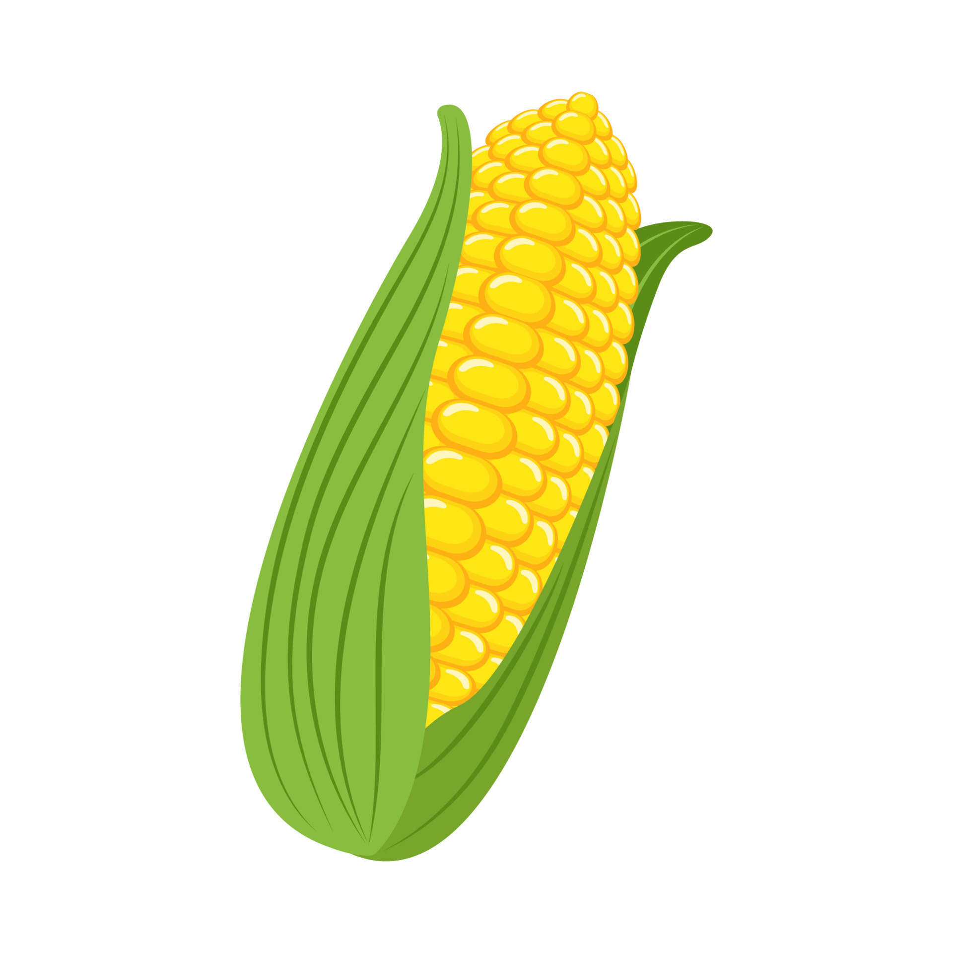 vegetable food corn 4557673 Vector Art at Vecteezy