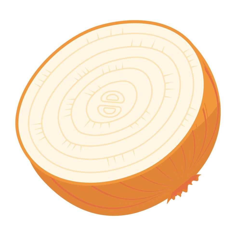 food vegetable sliced onion vector