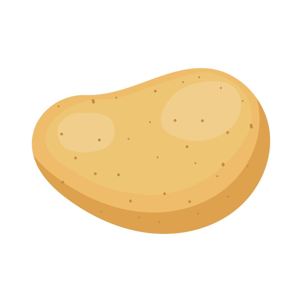 Food vegetable potato vector