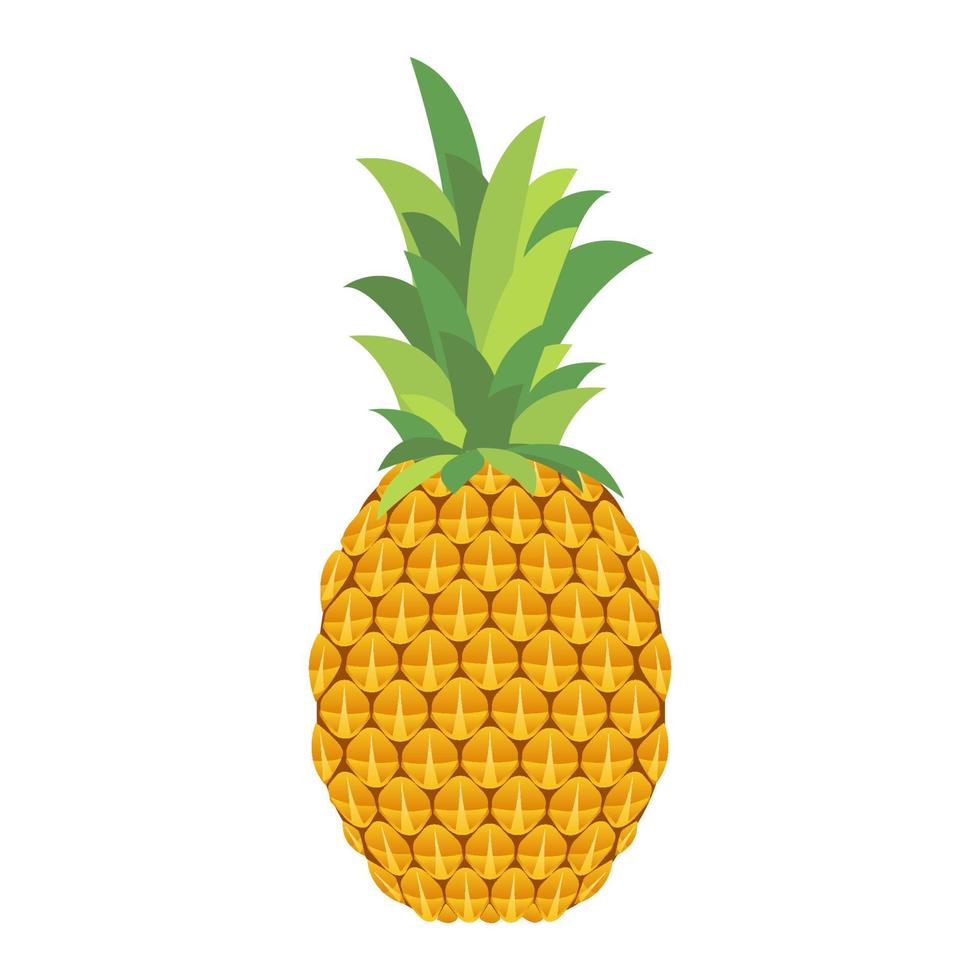 piña de frutas tropicales vector