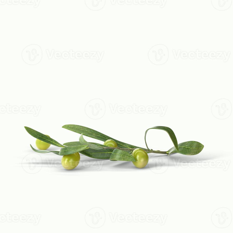 Realistic green olives on a branch isolated white background. 3d illustration, fit for your design project. photo