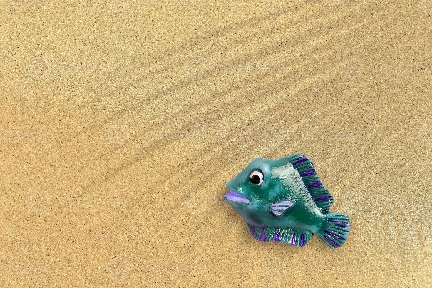 Top up view of green rubber fish on sand beach. vacation concept background. photo
