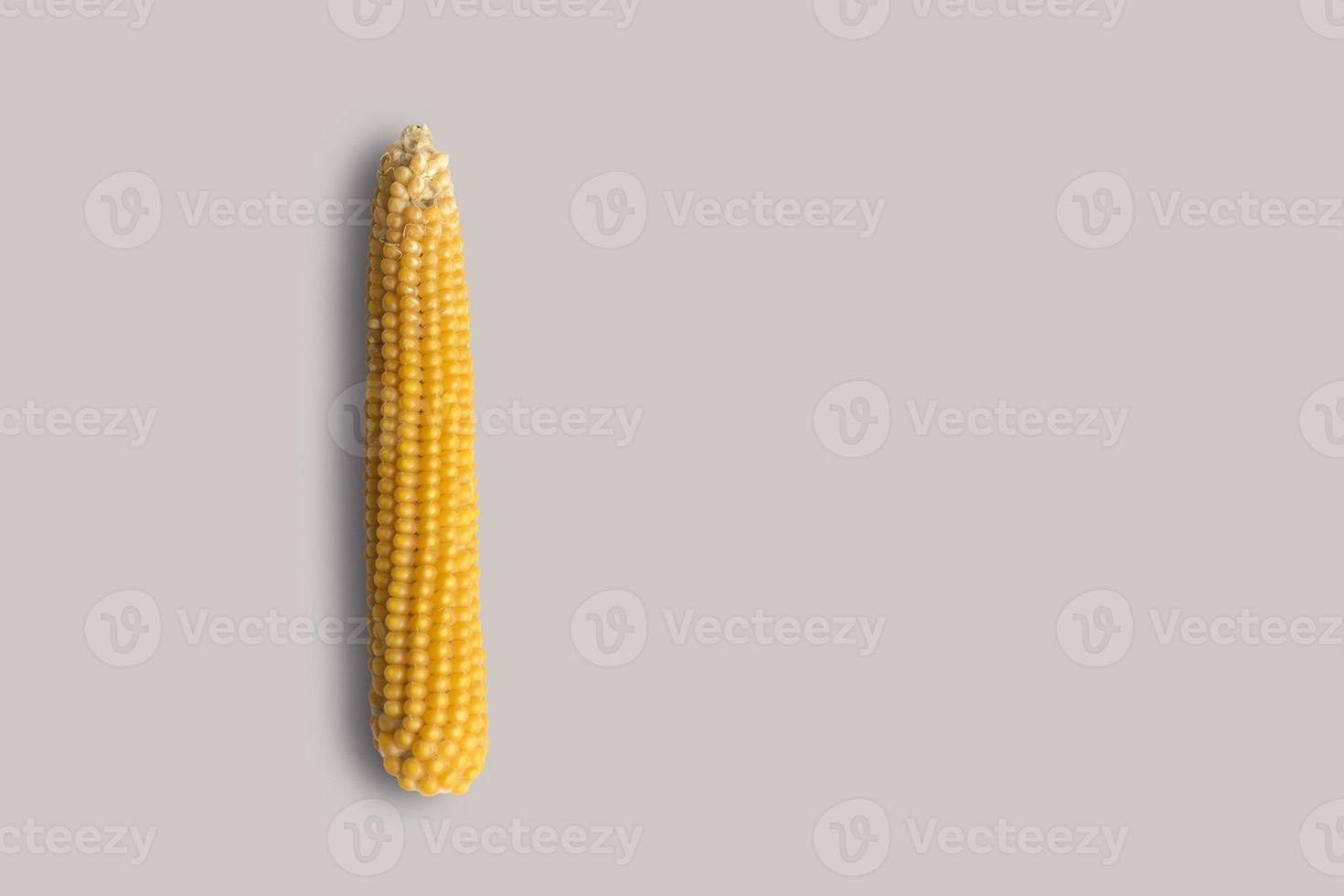 vista superior de maíz amarillo fresco aislado sobre fondo gris. adecuado para su proyecto de diseño. foto