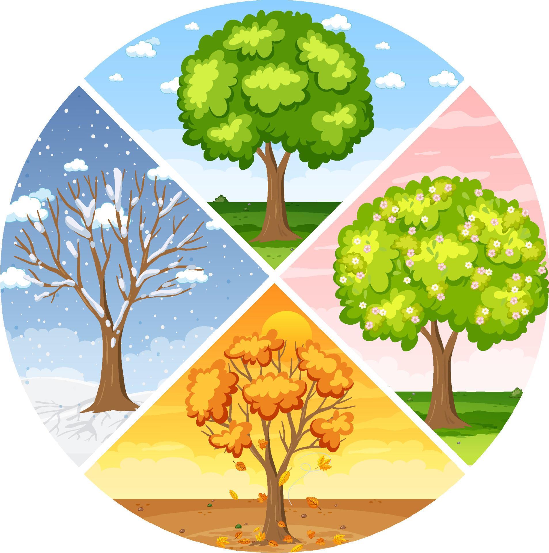 Set of four seasons backgrounds 4558737 Vector Art at Vecteezy