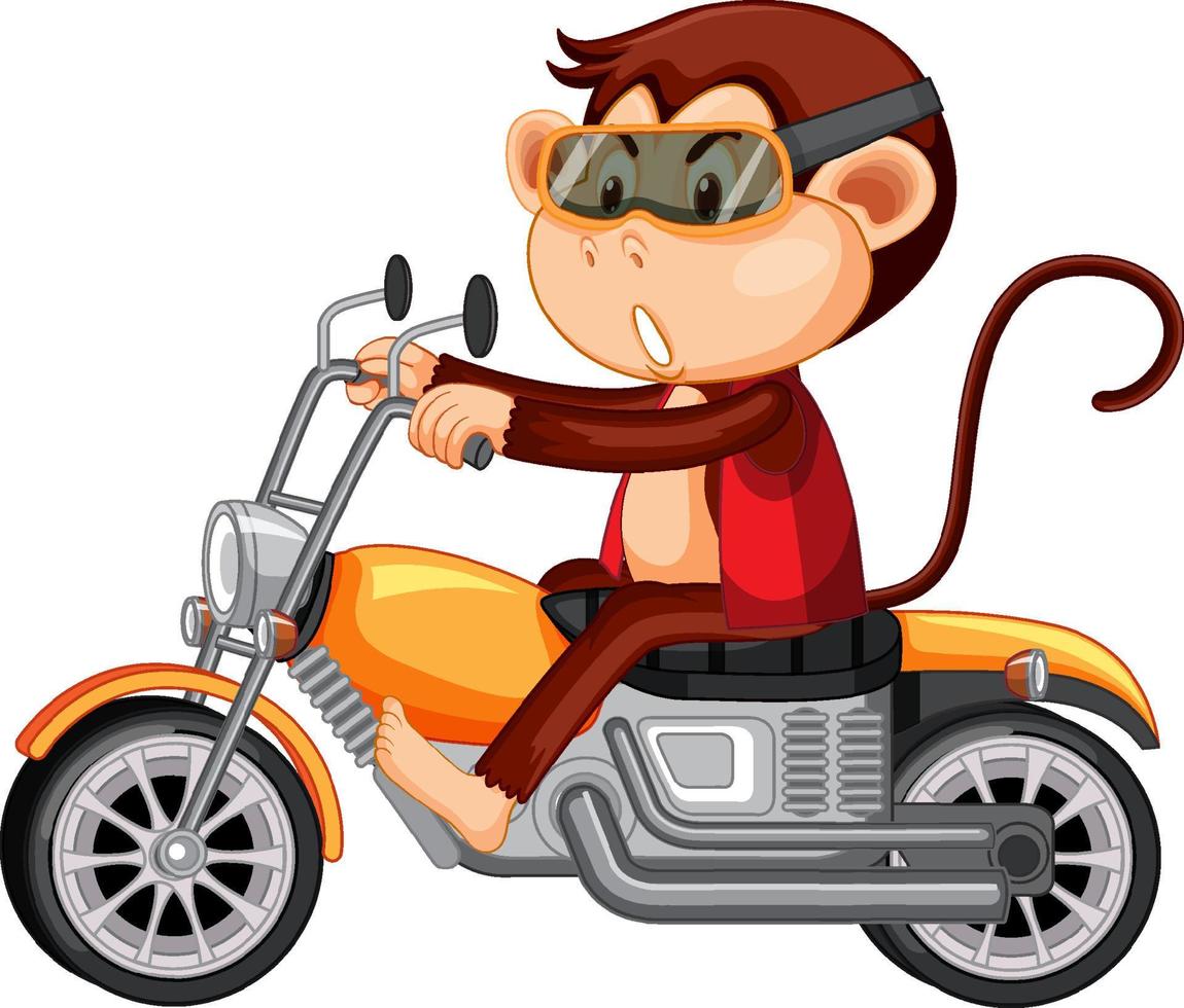 Little monkey riding motorcycle on white background vector