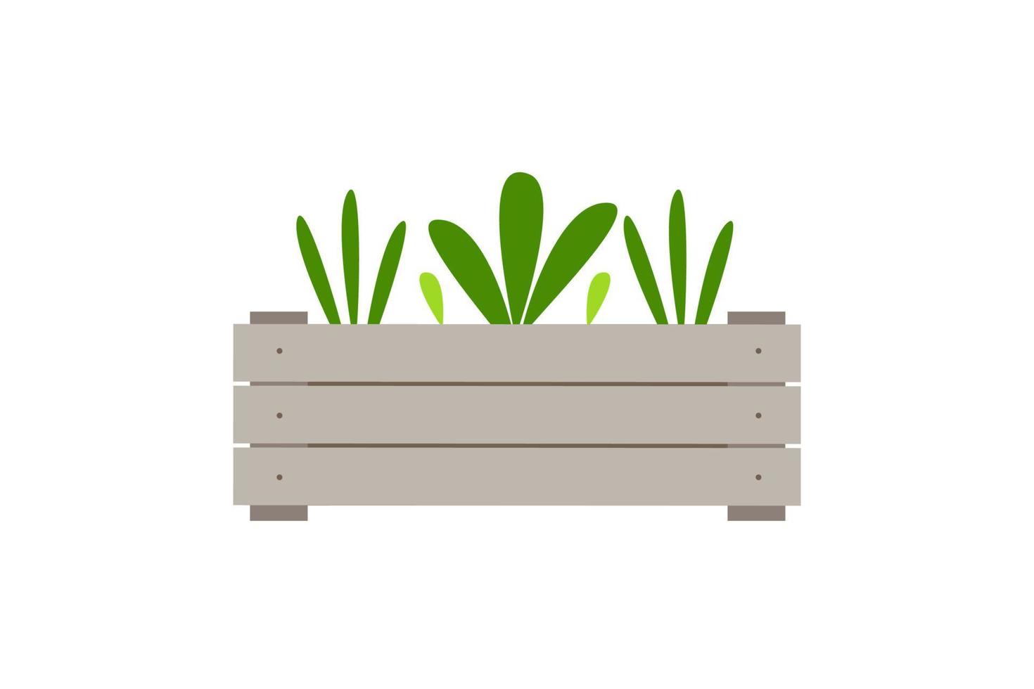 Wooden box with seedlings. Isolate on a white background. Vector illustration.